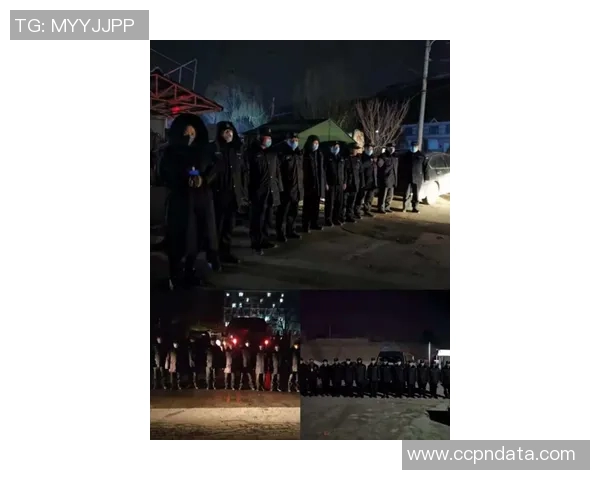 席尔瓦因伤告别欧洲杯，谢幕之战上演感人一幕